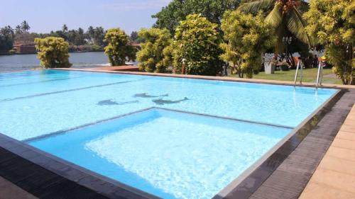 a large swimming pool next to a body of water at Ranga Holiday Resort in Bentota