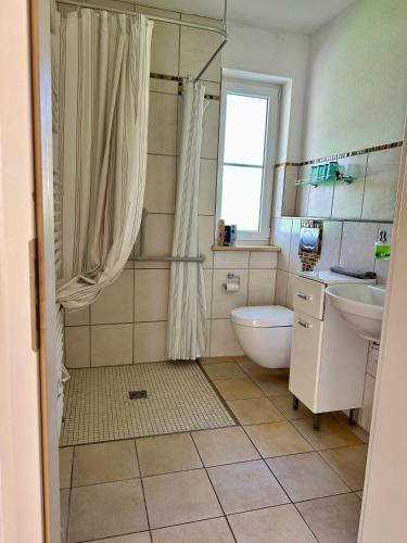 a bathroom with a shower and a sink and a toilet at Escape by Landhaus Lindenberg in Buchloe
