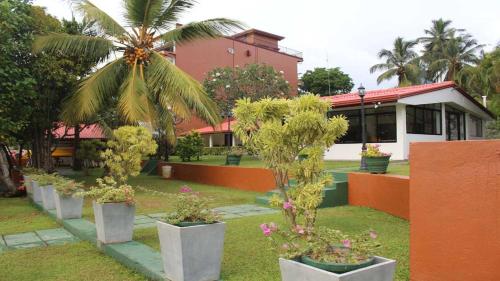 a row of potted trees in front of a house at Ranga Holiday Resort in Bentota