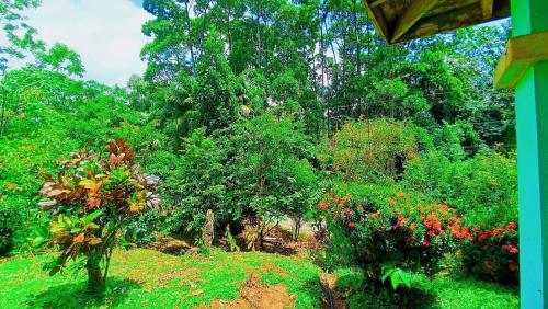 a view of a garden with trees and flowers at Casa La Esperanza in Chachagua