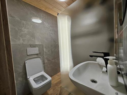 a bathroom with a white sink and a toilet at Wellness Toliar Tatry in Stará Lesná