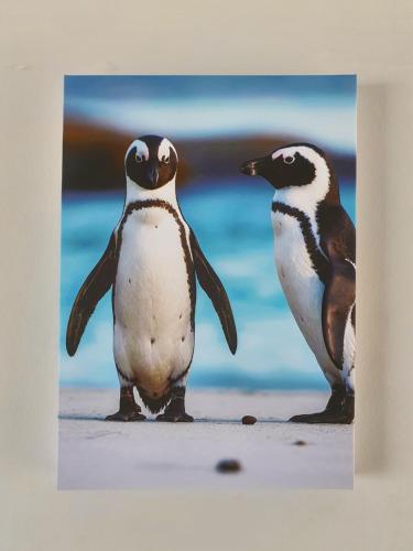 two penguins standing on the beach at Mountain and Oceanview at Blouberg in Cape Town