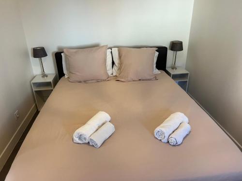 Cosy gare saint charles
