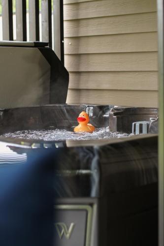 a rubber duck sitting on top of a machine at River Logie Lodges in Westfield