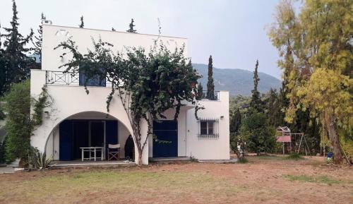 Cycladic style house by the sea