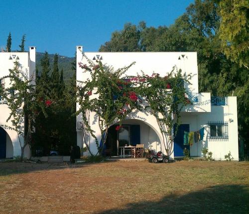 ein weißes Haus mit einem Tisch und einem Baum in der Unterkunft Cycladic style house by the sea in Nerotriviá