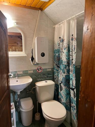 a small bathroom with a toilet and a sink at Complex Popangelov in Borovets