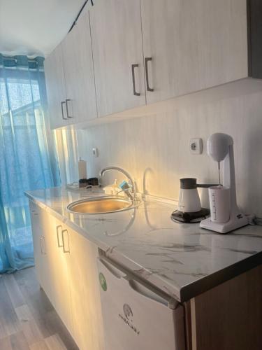 a kitchen with a counter top with a sink at TIKI Apartments in Gevgelija