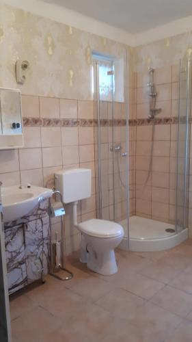 a bathroom with a toilet and a shower and a sink at Ferienhaus Schlothauer 1 in Tiszacsege