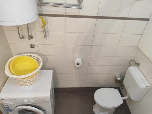 Apartment Zoki