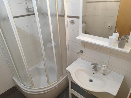 Apartment Zoki
