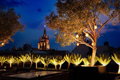 a row of flowers in front of a building at night at Hotel Casa Blanca 7 in San Miguel de Allende
