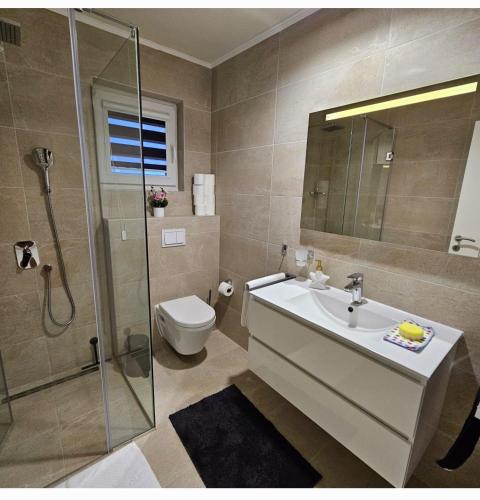 a bathroom with a toilet and a sink and a shower at Apartmani Datea in Grebaštica