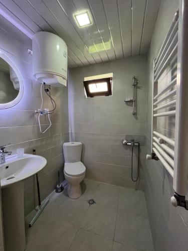 a bathroom with a toilet and a sink at Old View in Mestia