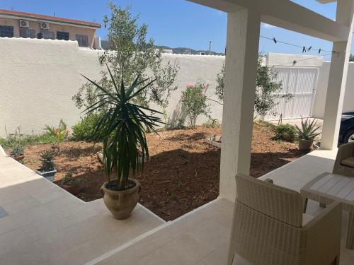 a porch with a potted plant on a patio at Résidence de la plage Ghar El Melh in Ghār al Milḩ