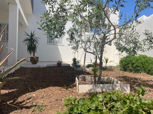 a garden in front of a house with a tree at Résidence de la plage Ghar El Melh in Ghār al Milḩ
