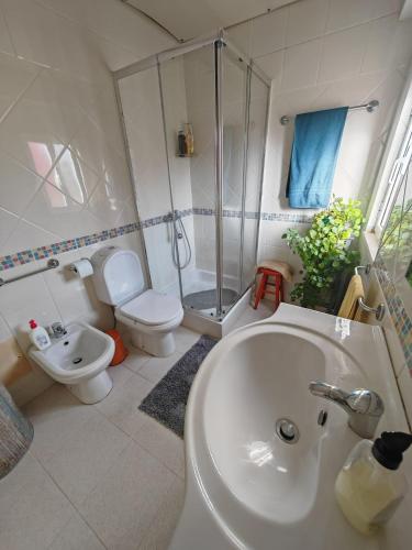 a bathroom with a sink and a shower and a toilet at Casa Aurora in Penacova