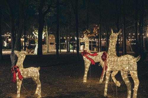 a group of illuminated giraffes in a park at night at The Skittles Unit in Austin