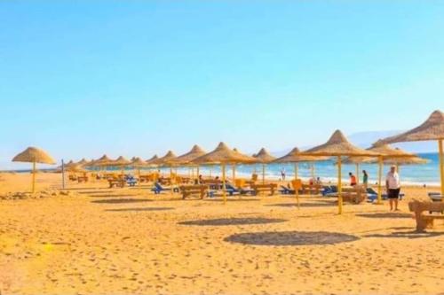 - une plage avec de nombreux parasols et chaises et l'océan dans l'établissement Golden beach 2 غولدين بيتش, à Ras Sudr