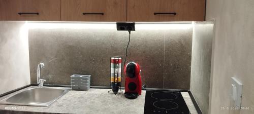 a kitchen with a sink and a red appliance on the counter at Jelena Lapčići Budva in Budva