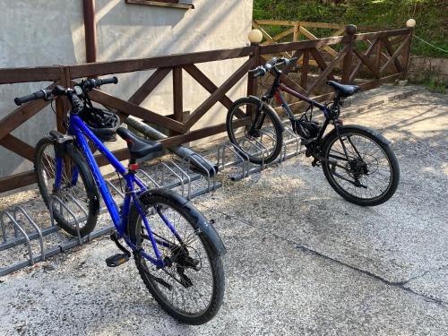 Jízda na kole v ubytování Żegiestów 35 nebo okolí