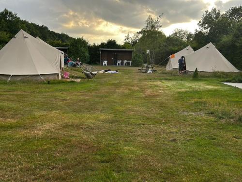 a group of tents in a grassy field at Bell Tent in Elim