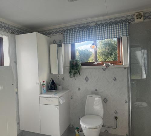 Ένα μπάνιο στο Cozy little house at Byske