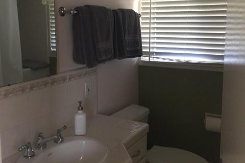 a bathroom with a sink and a toilet and a mirror at Elegant Carmel Cottage in Carmel