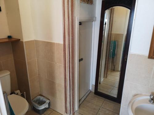a bathroom with a shower and a toilet and a sink at Flat next to port and cliffs with parking in Dover