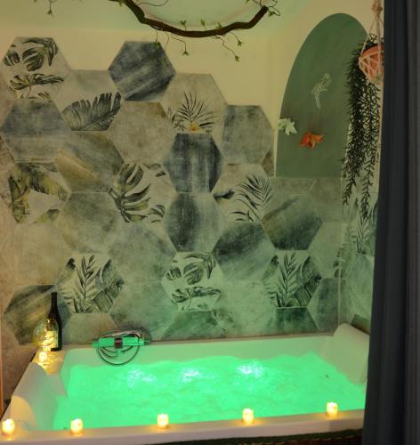Fotografie z fotogalerie ubytování Jungle Spa - Cocon tropical et dépaysant avec balnéo en plein coeur de Pézenas ! v destinaci Pézenas