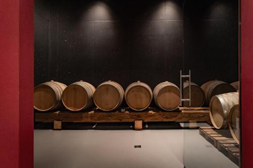 a row of wine barrels in a cellar at Hillepranter in Marlengo