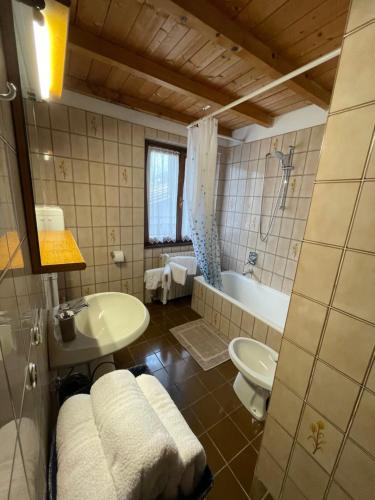 a bathroom with a sink and a tub and a toilet at Casa Gianeta in Pinzolo