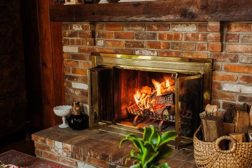 Φωτογραφία από το άλμπουμ του Chestnut Hill Farm σε Saugerties