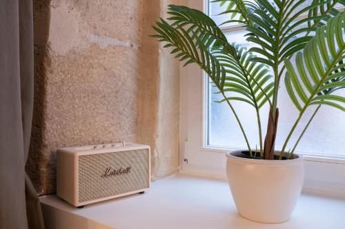 une plante posée sur le rebord d'une fenêtre à côté d'un petit haut-parleur dans l'établissement Appartement Cosy à 9 min à Pied de la Cathédrale NOTRE DAME, à Paris