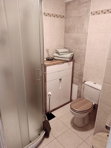 La salle de bains est pourvue de toilettes et d'une douche. dans l'établissement Your favorite apartments, à Menton