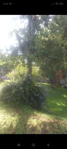 Zahrada ubytování Casa blanca