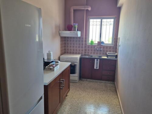 a small kitchen with a sink and a stove at Lilia Apartments A1 in Vrahati