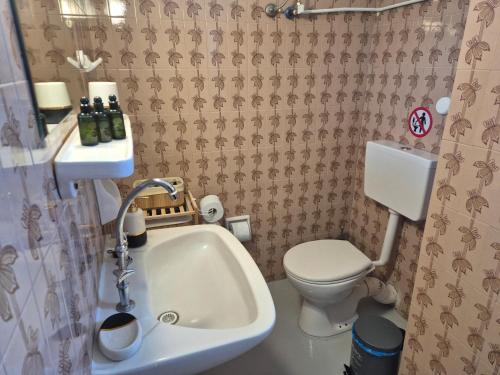 a small bathroom with a toilet and a sink at Lilia Apartments A1 in Vrahati