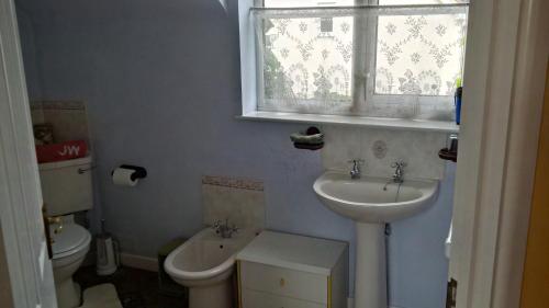 uma casa de banho com um lavatório, um WC e uma janela. em Hethersett Lodge em Norwich