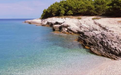 Gallery image of Guest House Carmen in Premantura