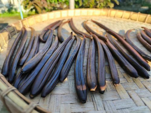 a wicker basket filled with lots of brownueduedueduedueduedued at Vaniglia House Tetebatu in Tetebatu