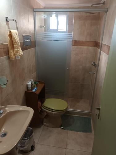 a bathroom with a shower and a toilet and a sink at La Pasteur Espacio Social Privado in Posadas