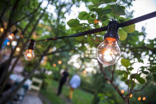 a group of light bulbs hanging from a tree at Köpmans in Nauvo