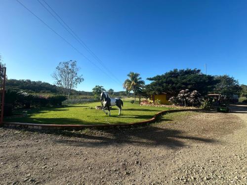 Majutusasutuse La Caballeriza külastajad