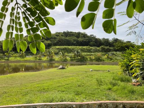Loodusmaastik võõrastemaja lähedal