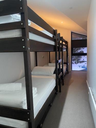 a group of bunk beds in a room at St Falls Penthouse Apartment E602 in Falls Creek