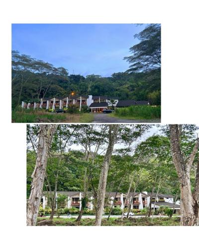Paisaje cerca de este hotel