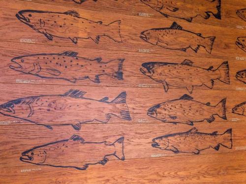 a group of drawings of fish on a wooden floor at 4 person holiday park home in Give in Give