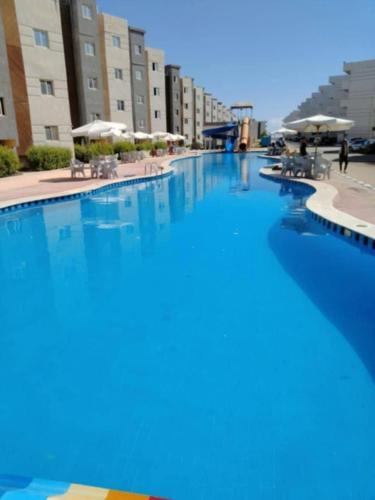 شالية شكري تاهيتي