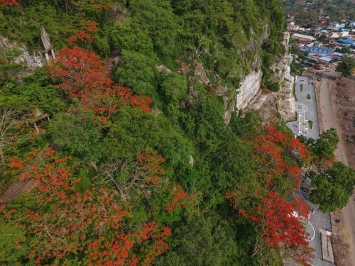 an overhead view of a forest with red flowers at Phnom Sampov Homestay ផ្ទះលំហែភ្នំសំពៅ in Phumĭ Kdaông Khang Tbong